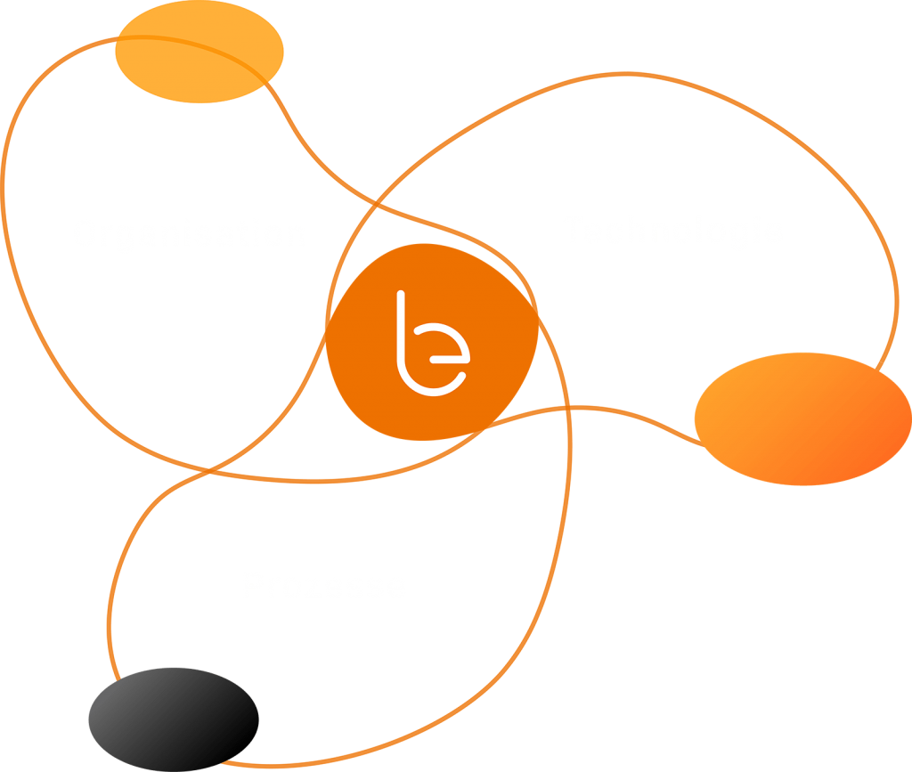 Organisation Prozesse Technologie